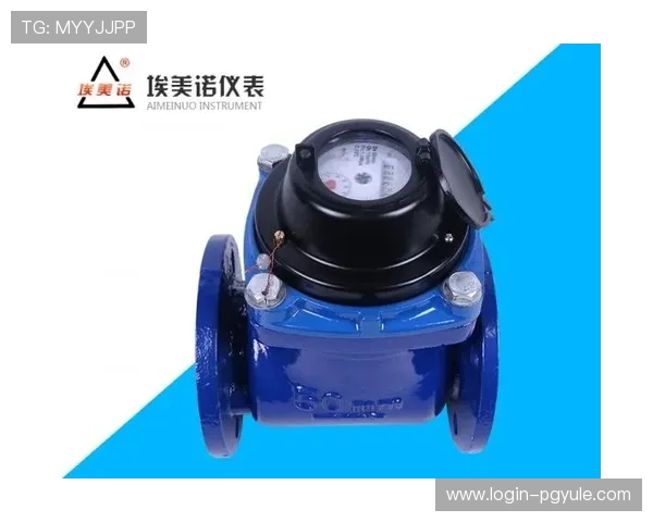 凯发网娱乐会员登录的重要性及其对游戏体验的影响