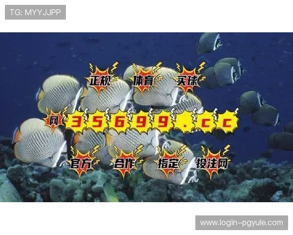 如何通过bg视讯试玩app提升游戏体验与技巧，享受高品质的线上娱乐娱乐体验